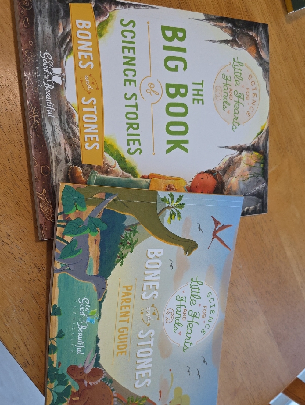 "Bones and Stones" Book Set, The Good And The Beautiful, NWT
